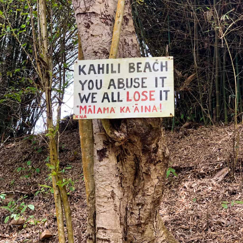 Sign nailed to tree says Kahili Beach You Abuse It We All Lose It