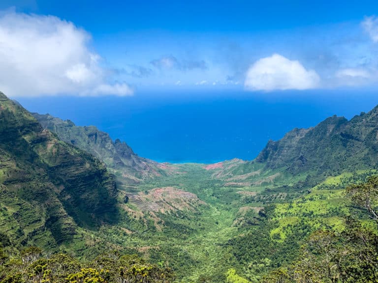 Pihea Trail: A Family Hike for Your Kauai Vacation