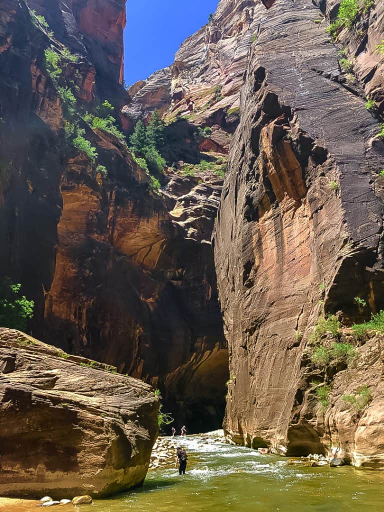 people hiking in the water of The Narrows in Zion National Park
