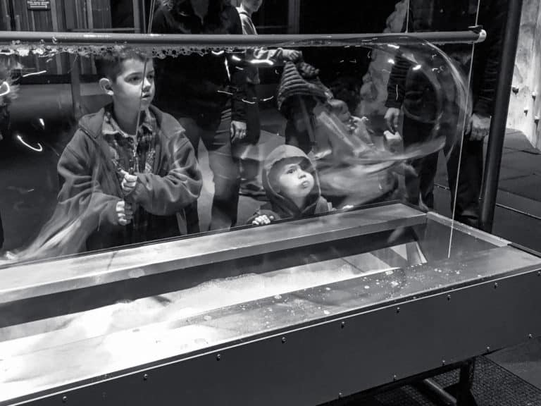 Educational Field Trip Ideas In Washington 2026 educational-field-trip-ideas-in-washington-2026