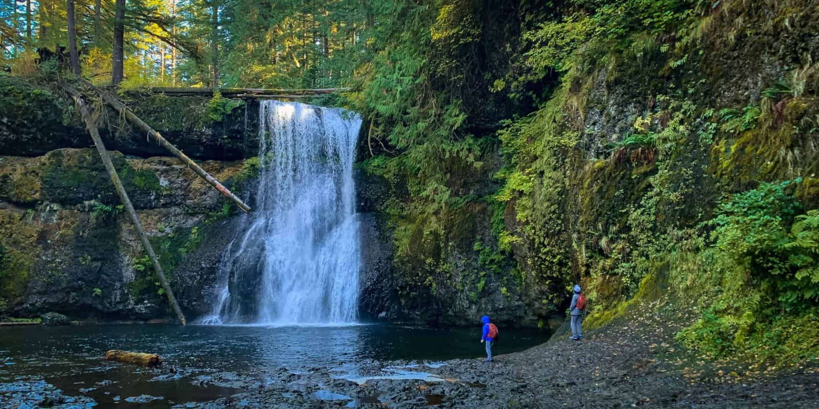 Two boys at waterfall in silver falls state park