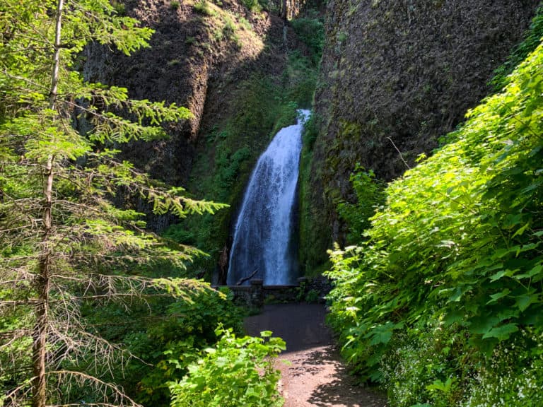 Oregon Hike: Wahkeena Springs