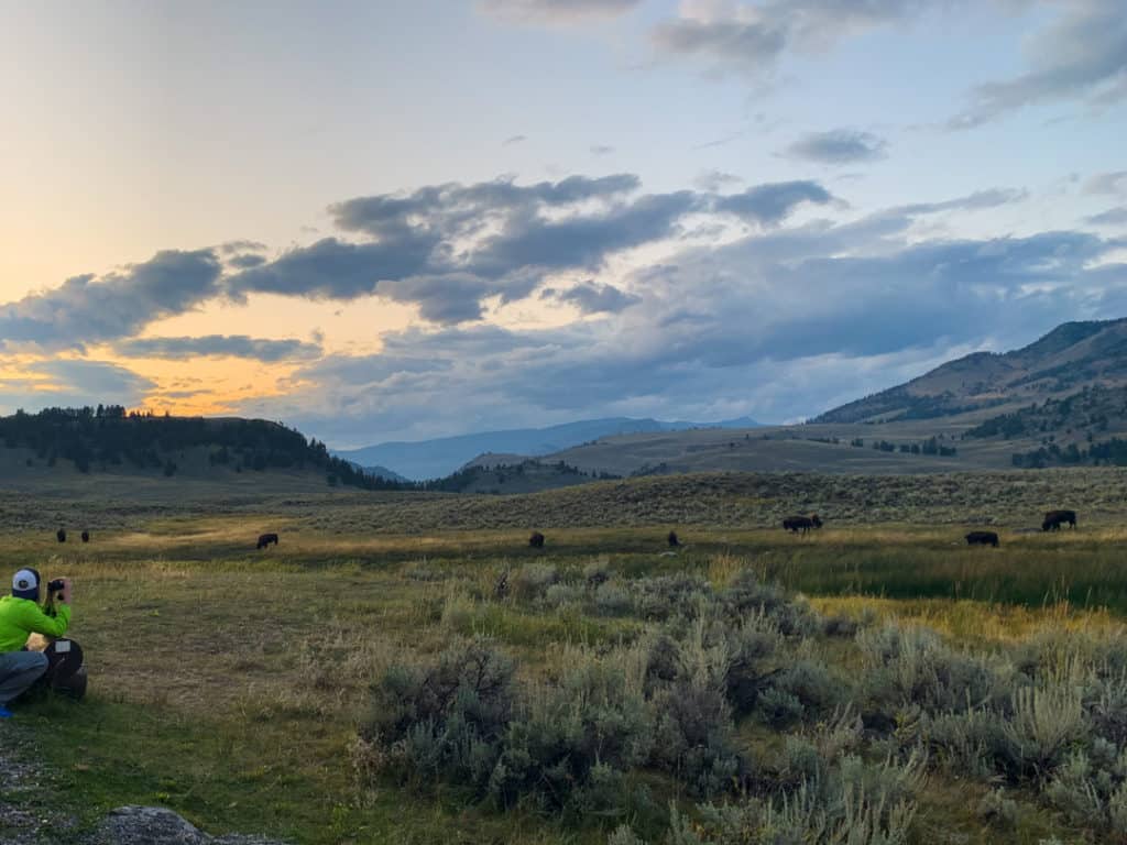 man with binoculars looking out over Lamar Valley at sunset watching the Bison