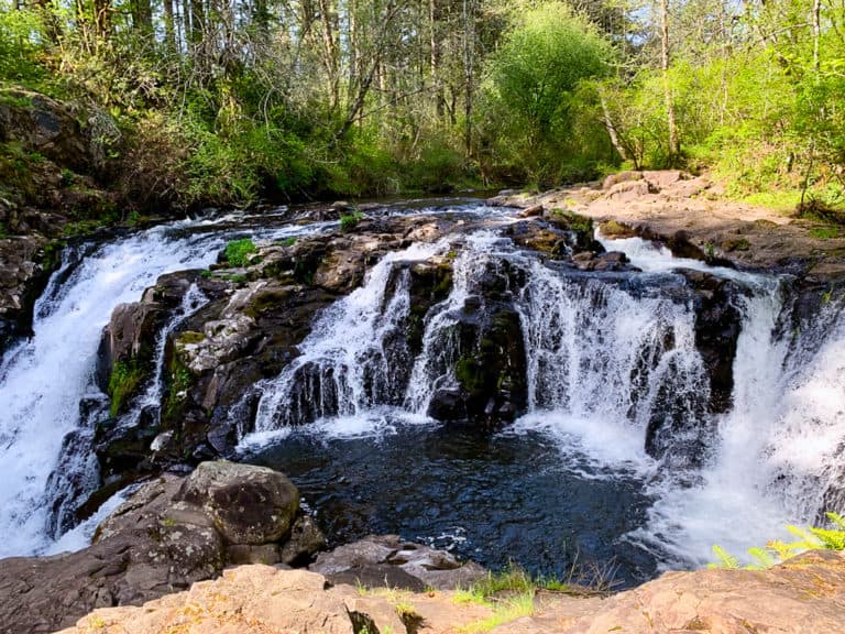 Washington Hike: Moulton Falls