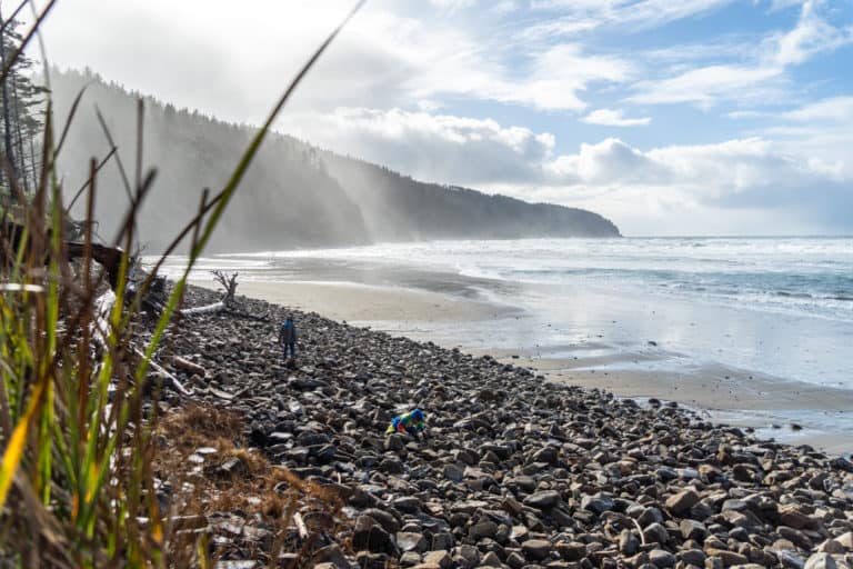Cape Lookout State Park: A Must-See on the Oregon Coast