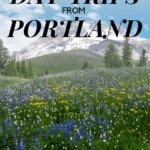 image of mt hood with wildflowers and text overlay with words the best day trips from portland
