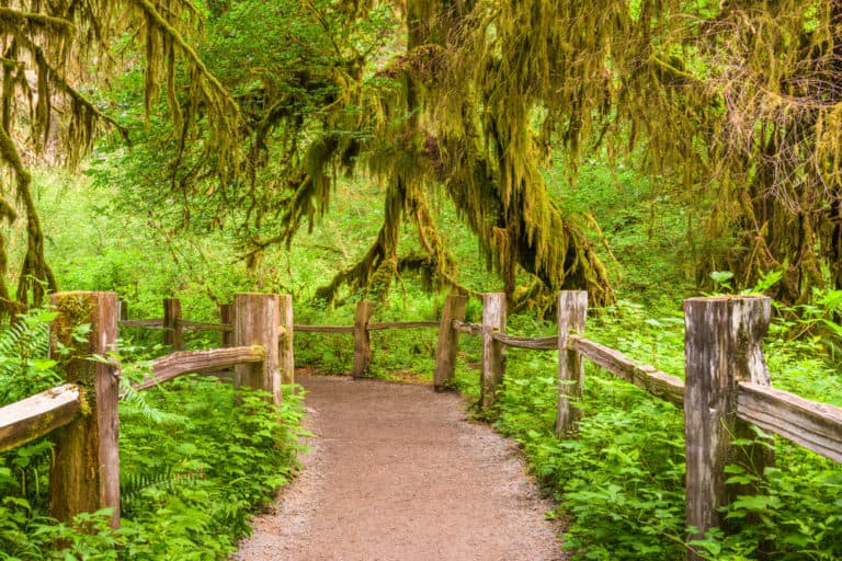Find the Best Family Vacation in Washington State for Your Family