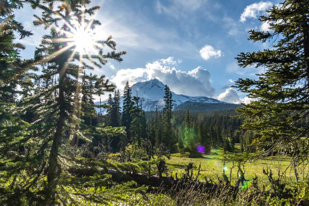 mt hood beyond meadow with sun burst and trees in image captured during a day hike