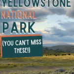 Things to do in Yellowstone