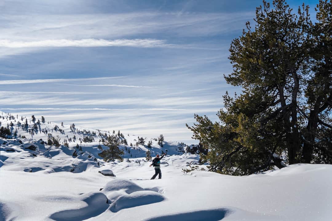 man snowshoeing under sunny blue skies with evergreens dotting the landscape
