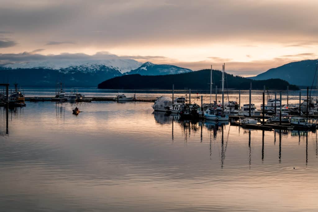 sunset at auke bay with boats and seal playing in water