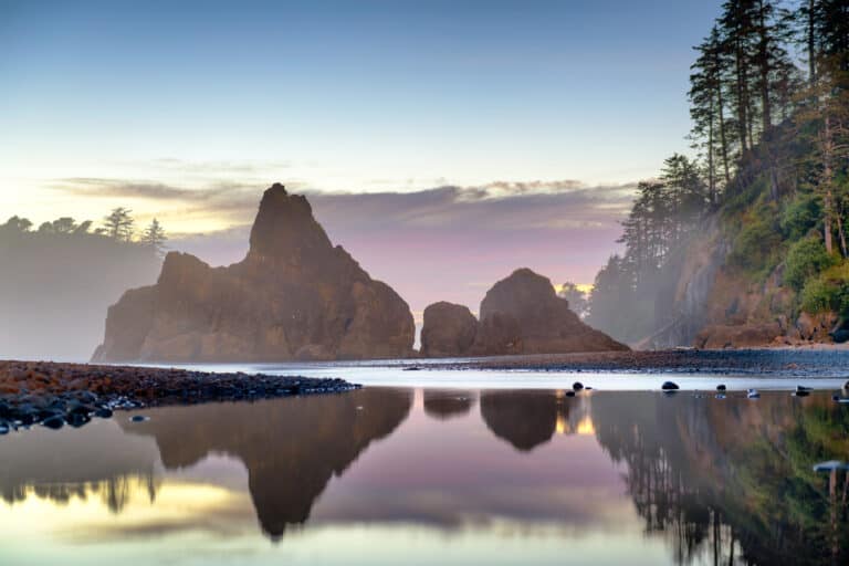 sunset colors reflect on glassy water at the edge of the beach in Olympic National Park