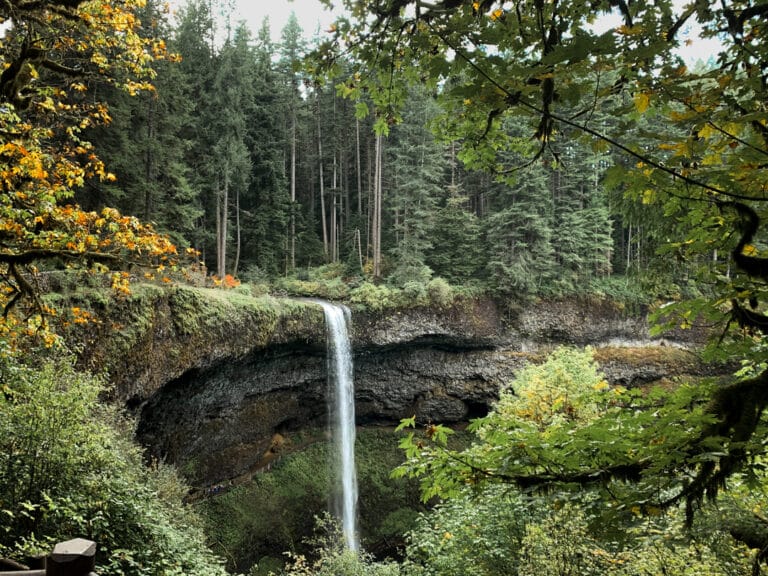 waterfall plummets over rock wall surrounded by trees with yellow and gold fall colors emerging