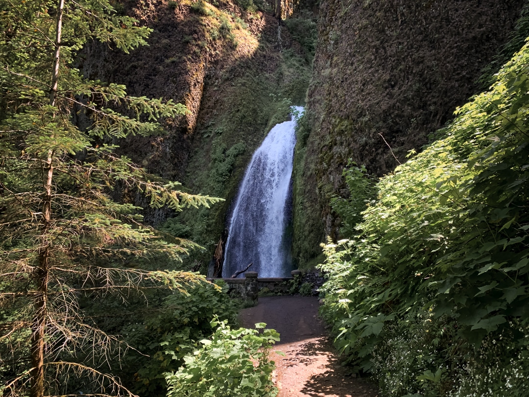 dirt trail leads to waterfall cascading down over a mossy rock wall 
