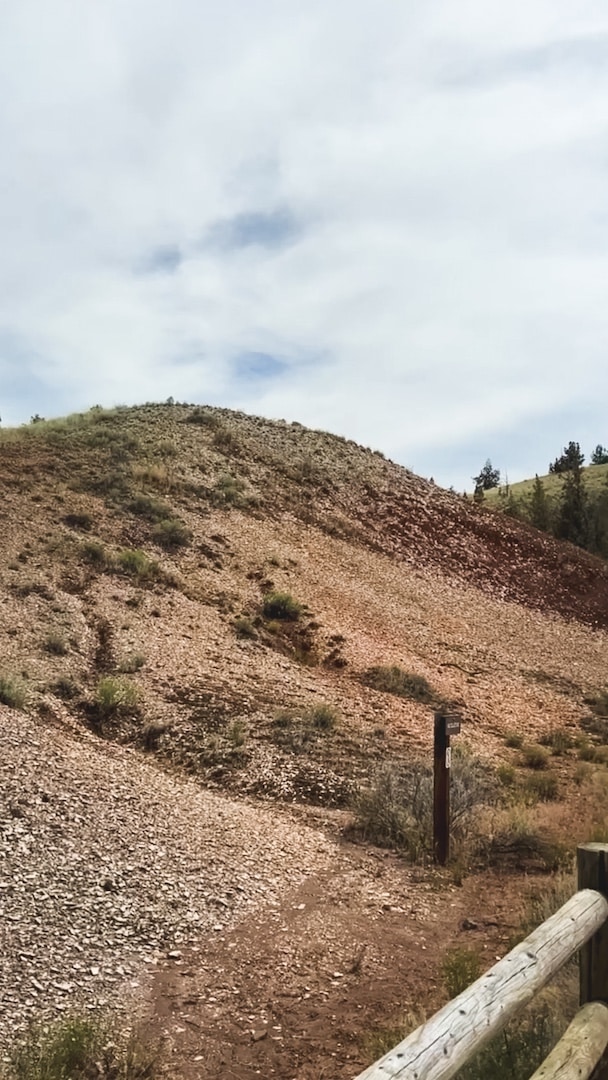 A fossil mound with some sparse shrubs sits along the Leaf Hill Trail. There is a wooden sign at the base of the hill that is not clearly legible in the photograph and there are some varying red and yellow colors in the mound.