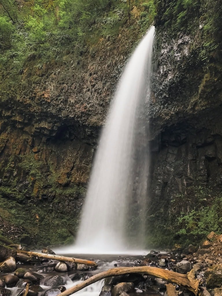 Upper Latourell Falls on the Latourell Falls Trail, featuring a tall waterfall plunging from a rocky overhang into a stream below, with fallen logs scattered near the base.