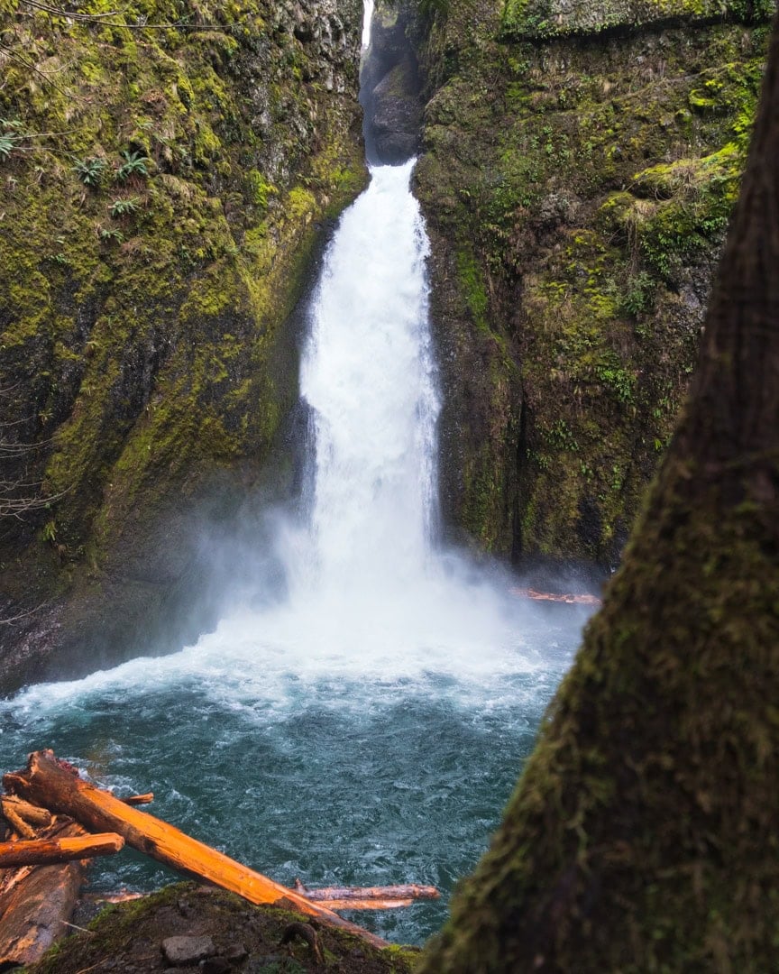 Wahclella Falls Trail: Easy & Stunning Columbia Gorge Hike 2 WahclellaFalls 5